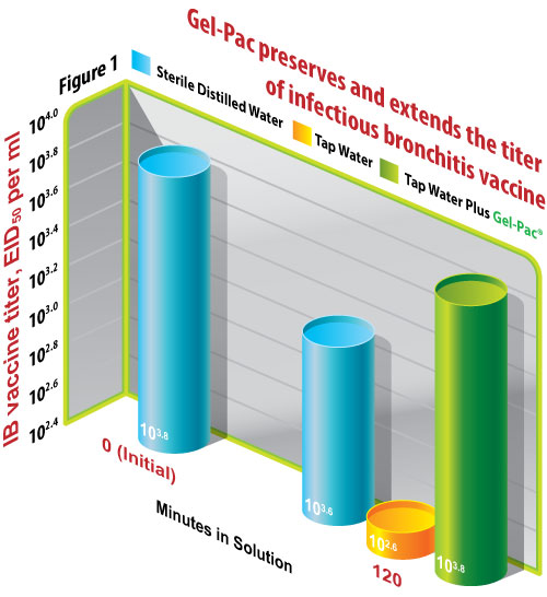 Gel-Pac-preserves-and-extends-the-titer-of-infectious-bronchitis-vaccine-WEB-ARTICLE-version