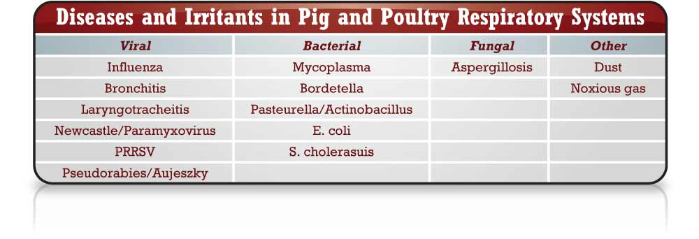 Diseases and Irritants in Pig and Poultry Chart
